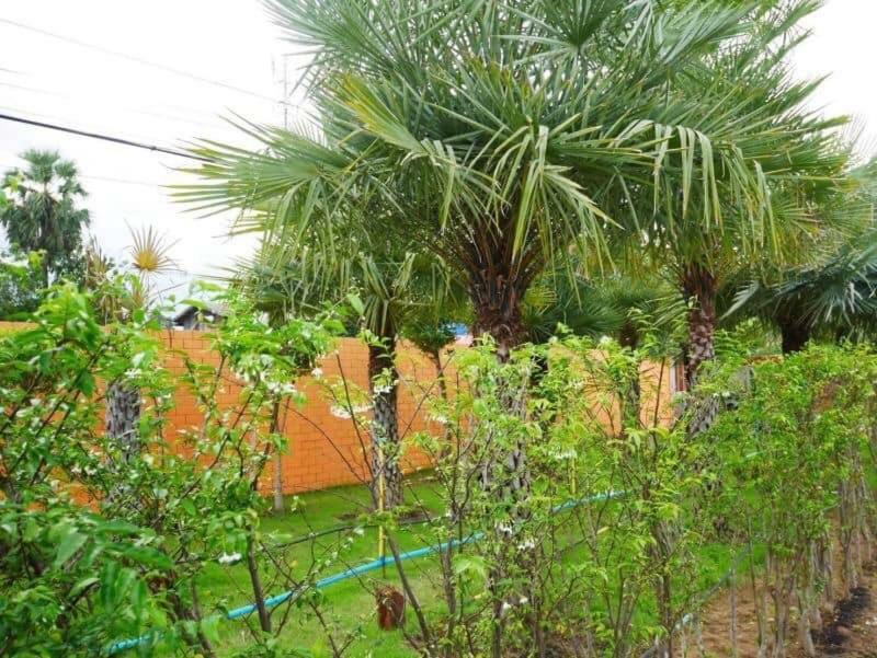 Ban Nong Mai Ngam Tinna Resort מראה חיצוני תמונה